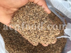 Bulk Dried Dill for sale. Anethum Graveolens Dried Leaves and Seeds Wholesaler, Supplier, Exporter and Provider. Buy High Quality Dill with the Best Price.