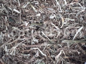Bulk Nettles Leaves, Seeds and Roots for Sale. Nettles Leaf Wholesaler, Supplier, Exporter and Provider. Buy Stinging Nettle Leaves, Seeds and Roots with the Best Price.