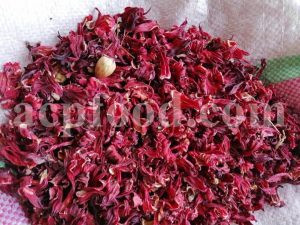 Hibiscus for sale.