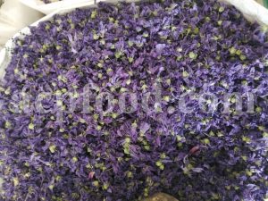 Bulk Dried Mallow for sale. Malva Sylvestris Dried Flowers and Leaves Wholesaler, Supplier, Exporter and Provider. Buy High Quality Blue Mallow with the Best Price.