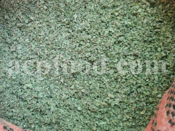 Bulk Marjoram for sale. Origanum Majorana Dried Leaves Wholesaler, Supplier, Exporter and Provider. Buy High Quality Marjoram with the Best Price.