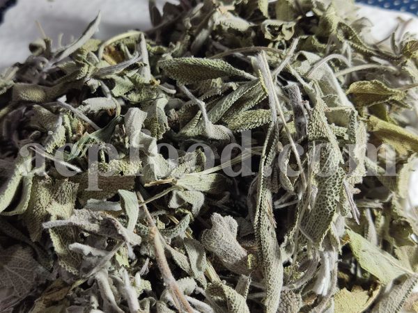 Bulk Sage leaves for sale. Salvia officinalis Leaf Wholesaler, Supplier, Exporter and Provider. Buy High Quality Sage with the Best Price.