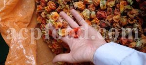 Bulk Physalis Alkekengi Fruits and Flowers For Sale. Chinese Lantern Wholesaler, Supplier, Exporter and Provider. Buy High Quality Japanese Lantern with the Best Price.