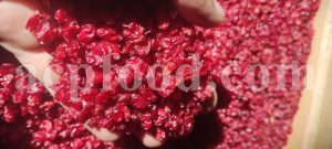Bulk Dried Barberry for Sale. Barberry Wholesaler, Supplier, Exporter and Provider. Buy High Quality Dried Barberry with the Best Price.