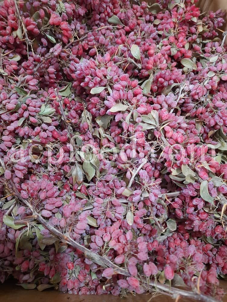 Dried Barberry for sale.