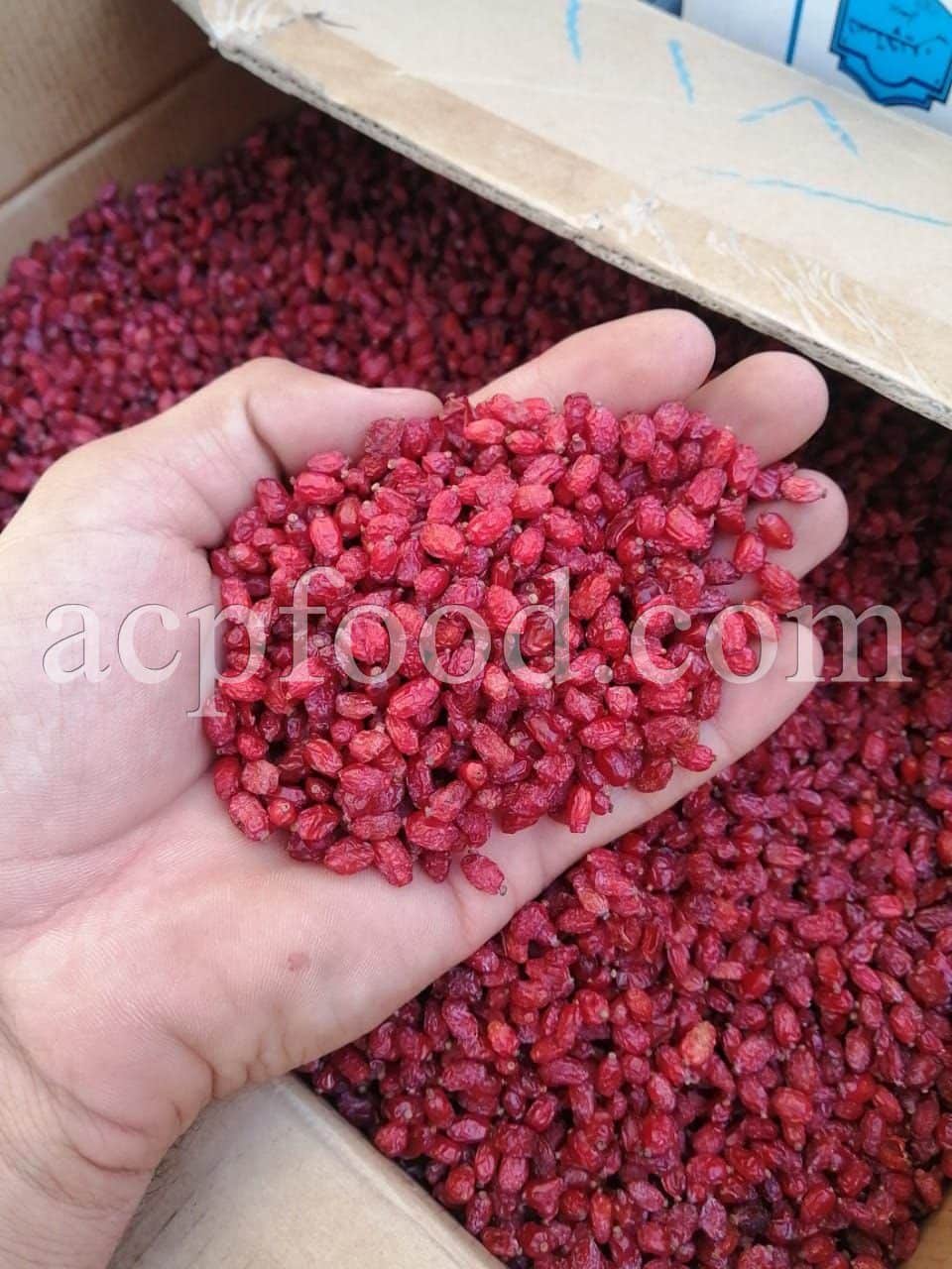 Bulk Dried Barberry for Sale. Barberry Wholesaler, Supplier, Exporter and Provider. Buy High Quality Dried Barberry with the Best Price.