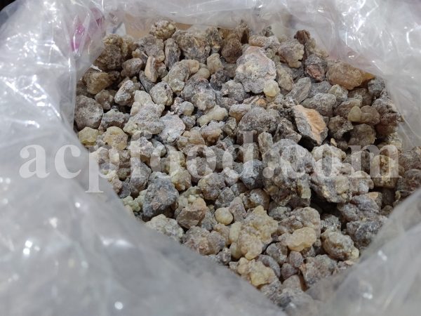 Bulk Frankincense for sale. Boswellia Wholesaler, Supplier, Exporter and Provider. Buy High Quality Indian Frankincense with the Best Price.