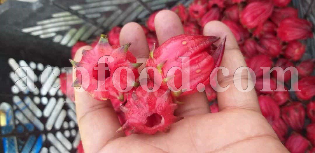 Bulk Hibiscus Flowers for sale. Bulk Hibiscus sabdariffa Flowers Wholesaler, Supplier, Exporter and Provider. Buy High Quality Roselle with the Best Price.
