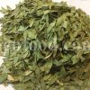 Bulk Myrtle Leaves and Fruits for Sale. Myrtle Leaf and Fruit Wholesaler, Supplier, Exporter and Provider. Buy High Quality Myrtus Communis Leaves and Fruits with the Best Price.