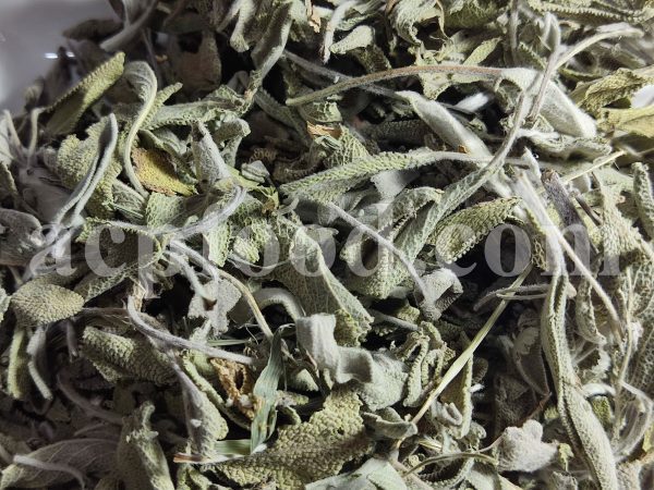 Bulk Sage leaves for sale. Salvia officinalis Leaf Wholesaler, Supplier, Exporter and Provider. Buy High Quality Sage with the Best Price.