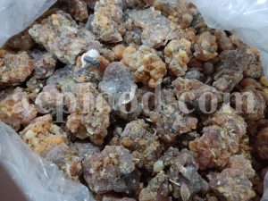 Bulk Galbanum resin for sale. Galbanum Gum Wholesaler, Supplier, Exporter and Provider. Buy High Quality Galbanum with the Best Price.