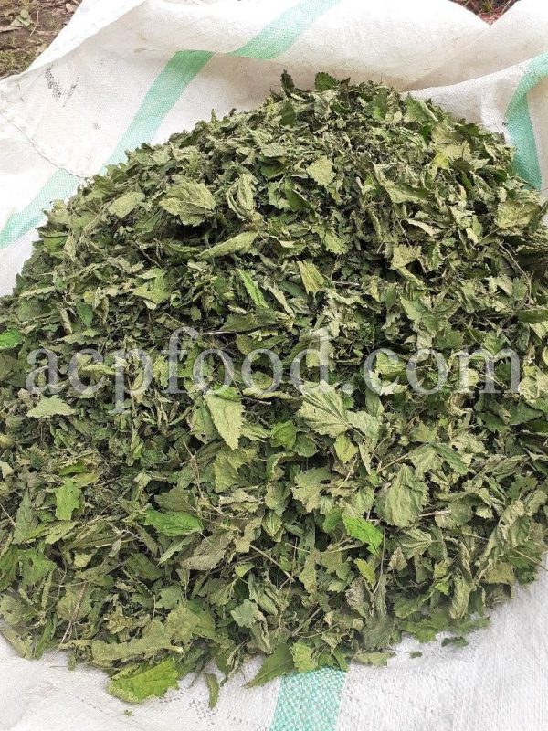 Bulk Nettles Leaves, Seeds and Roots for Sale. Nettles Leaf Wholesaler, Supplier, Exporter and Provider. Buy Stinging Nettle Leaves, Seeds and Roots with the Best Price.