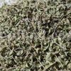 Bulk Thyme for sale. Wild Thyme Wholesaler, Supplier, Exporter and Provider. Buy High Quality Common Thyme with the Best Price.