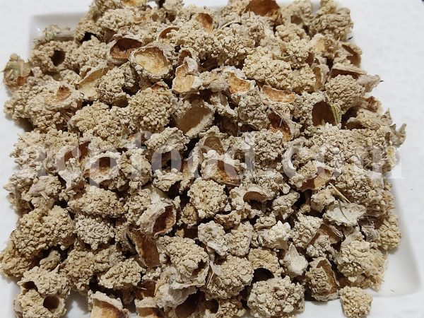 Bulk Trehala Manna for Sale. Trehala Manna Wholesaler, Supplier, Exporter and Provider. Buy Globe Thistle Manna with the Best Price and Quality.