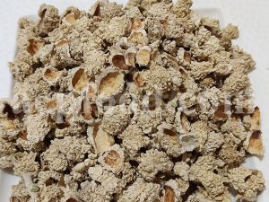 Bulk Trehala Manna for Sale. Trehala Manna Wholesaler, Supplier, Exporter and Provider. Buy Globe Thistle Manna with the Best Price and Quality.