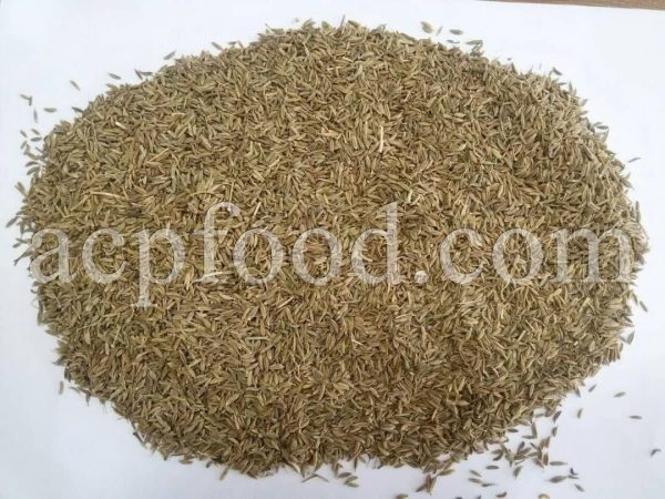 Bulk Cumin Seeds for sale. Cumin Wholesaler, Supplier, Exporter and Provider. Buy Cuminum Cyminum Seeds with the Best Quality and Price.