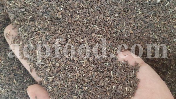 Wild rue seeds for sale.
