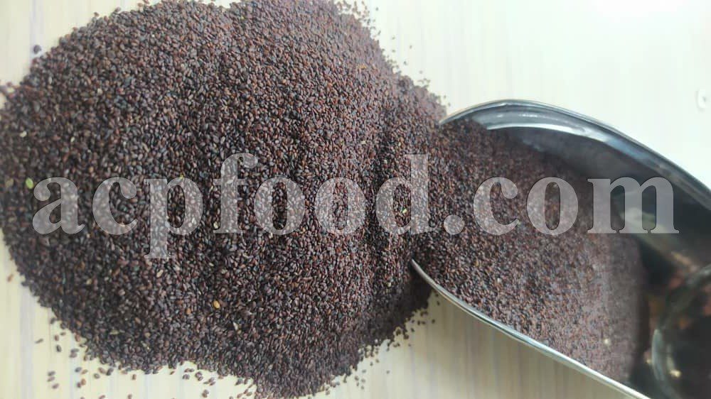 Bulk Plantain Seeds for sale. Broadleaf Plantain Seed Wholesaler, Supplier, Exporter and Provider. Buy Plantago Major Seeds with the Best Quality and Price.