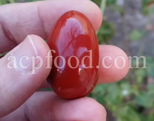 Bulk Agate for sale. Agate Wholesaler, Supplier, Exporter and Provider. Buy Agate with the Best Quality and Price.