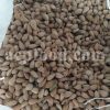 Bulk Prunus lycioides Gum and Dried Fruits for Sale. Mountain Almond Tree Resin and Fruit Wholesaler, Supplier, Exporter, Provider.