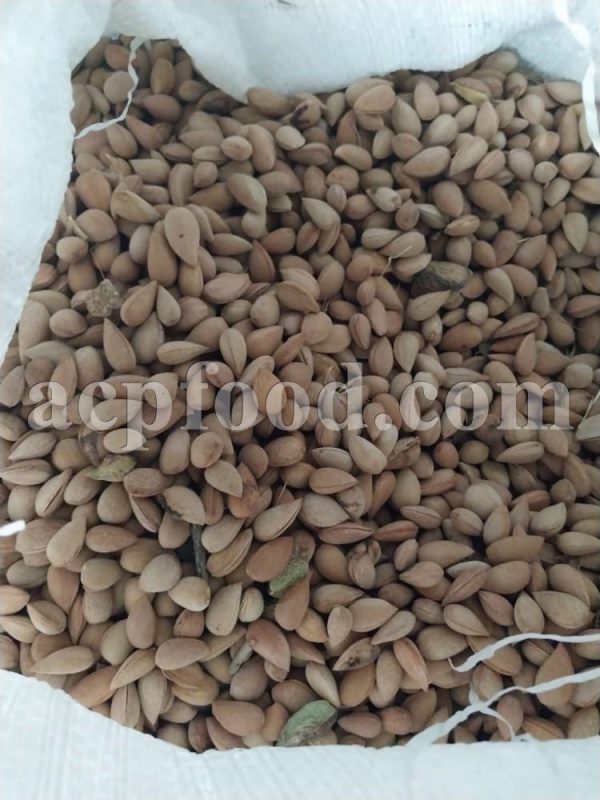 Bulk Prunus lycioides Gum and Dried Fruits for Sale. Mountain Almond Tree Resin and Fruit Wholesaler, Supplier, Exporter, Provider.