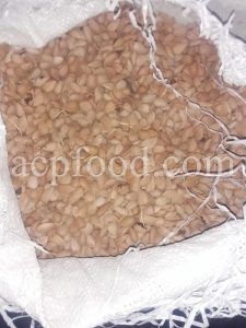 Mountain Almond for sale.