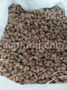 Mountain Almond for sale.