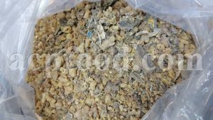 High Quality Euphorbia sap for Sale. Euphorbia helioscopia Sap Wholesaler, Supplier, Exporter and Provider. Buy Euphorbia latex with the best quality and price.