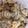 Bulk White Fasoukh for sale. White Faso Wholesaler, Supplier, Exporter and Provider. Buy High Quality Ferula communis Resin Gum with the Best Price.