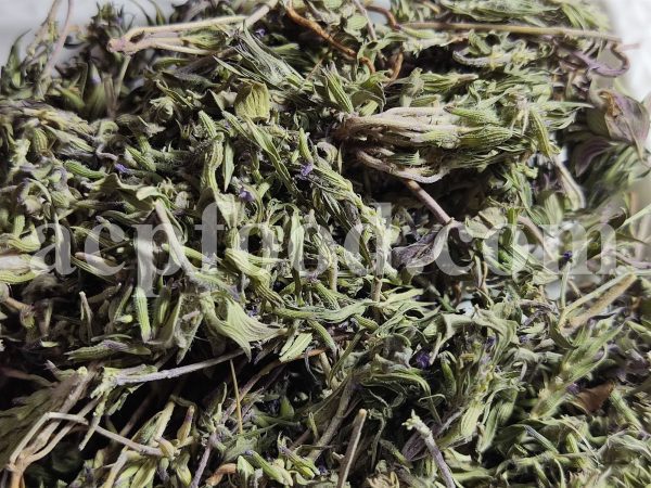 High Quality Persian Ziziphora for Sale. Bulk Ziziphora tenuior Leaves Wholesaler, Supplier, Exporter and Provider. Buy Best Quality Ziziphora persica with the Best Price.