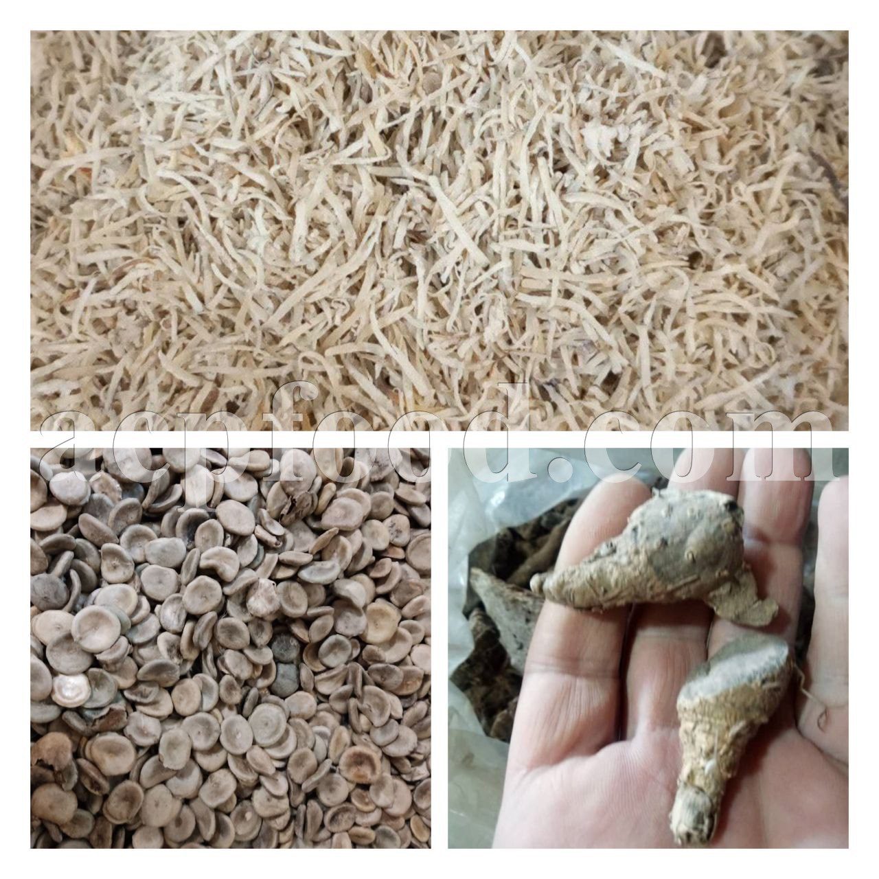 Nux Vomica seeds and roots for sale.
