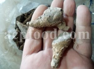Nux Vomica root for sale.
