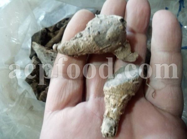bulk Nux Vomica seeds and roots for sale. Strychnos nux-vomica Seeds and Roots Wholesaler, Supplier, Exporter and Provider. Buy High Quality Kuchla with the Best Price.