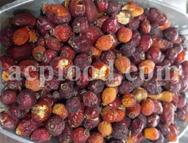 High Quality Rose Hips Dried Fruits for Sale. Bulk Rosa canina Dried Fruits Wholesaler, Supplier, Exporter and Provider. Buy Best Quality Dog Rose with the Best Price.