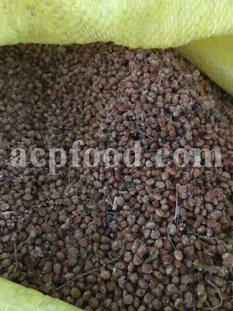 High Quality Sumac for Sale. Bulk Rhus coriaria Fruit Wholesaler, Supplier, Exporter and Provider. Buy Bulk Sumac with the Best Price.