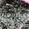 Bulk Tarragon for sale. Artemisia dracunculus Leaves Wholesaler, Supplier, Exporter and Provider. Buy High Quality Tarragon with the Best Price.