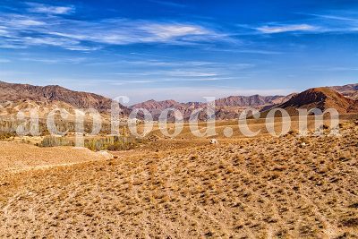 Hot and dry climate. The diversity of Persian plants.