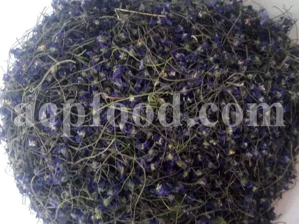 Common Violet supplier. Viola odorata price.
