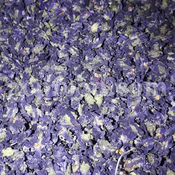 Bulk Sweet Violet wholesaler. Dried bulk Viola odorata.