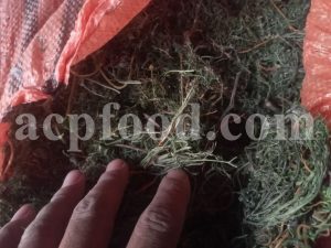 Bulk Fumitory for Sale. Dried Fumaria Officinalis Herb Wholesaler, Supplier, Exporter and Provider. Buy Common Fumitory with the best price.