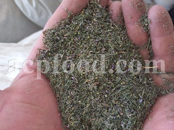 Bulk Fumitory for Sale. Dried Fumaria Officinalis Herb Wholesaler, Supplier, Exporter and Provider. Buy Common Fumitory with the best price.