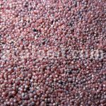 Bulk rough Ruby for sale. Ruby Wholesaler, Supplier, Exporter and Provider. Buy High Quality Corundum with the Best Price.