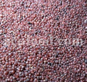 Bulk rough Ruby for sale. Ruby Wholesaler, Supplier, Exporter and Provider. Buy High Quality Corundum with the Best Price.