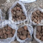 Bulk Black Truffles for sale. Tuber melanosporum mushrooms Wholesaler, Supplier, Exporter and Provider. Buy High Quality Truffles with the Best Price.