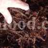 Bulk Polypody Root for Sale. Adder's Fern Wholesaler, Supplier, Exporter and Provider. Buy Polypodium vulgare Root with the Best Quality and Price.
