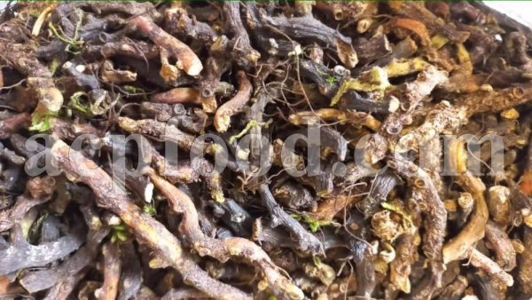 Bulk Polypodium vulgare Root for Sale. Polypody Wholesaler, Supplier, Exporter and Provider. Buy Golden Maidenhair Root with the Best Quality and Price.