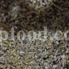 Bulk Dried Musk Willow Flowers for Sale. Musk Willow Wholesaler, Supplier, Exporter and Provider. Buy High Quality Salix Aegyptiaca Dried Flowers with the Best Price.