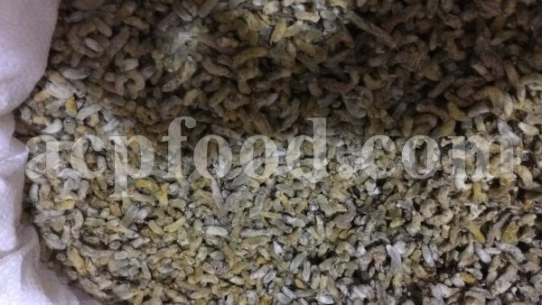 Bulk Musk Willow for Sale. Egyptian Willow Wholesaler, Supplier, Exporter and Provider. Buy High Quality Salix aegyptiaca with the Best Price.