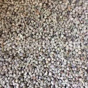 Bulk Chaste Berry for sale. Vitex agnus-castus dried fruits Wholesaler, Supplier, Exporter and Provider. Buy Chaste Tree Berry with the Best Quality and Price.
