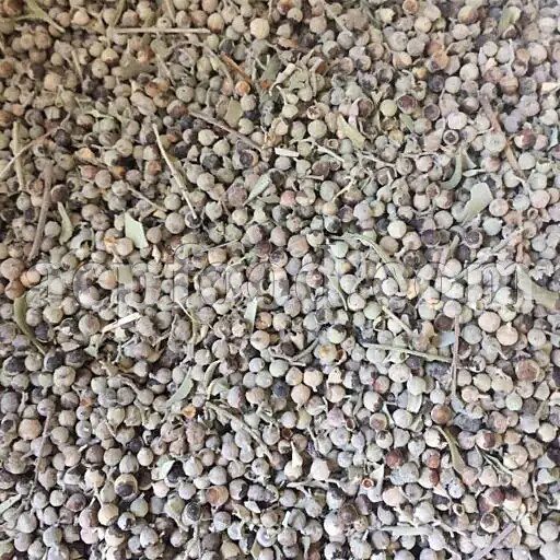 Bulk Chaste Berries for sale. Vitex agnus-castus Wholesaler, Supplier, Exporter and Provider. Buy Lilac Chaste Tree with the Best Quality and Price.